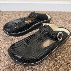 Alegria Classic Black Burnish Snake Mules ALG-231  Women’s Size 40 Us 9.5-10